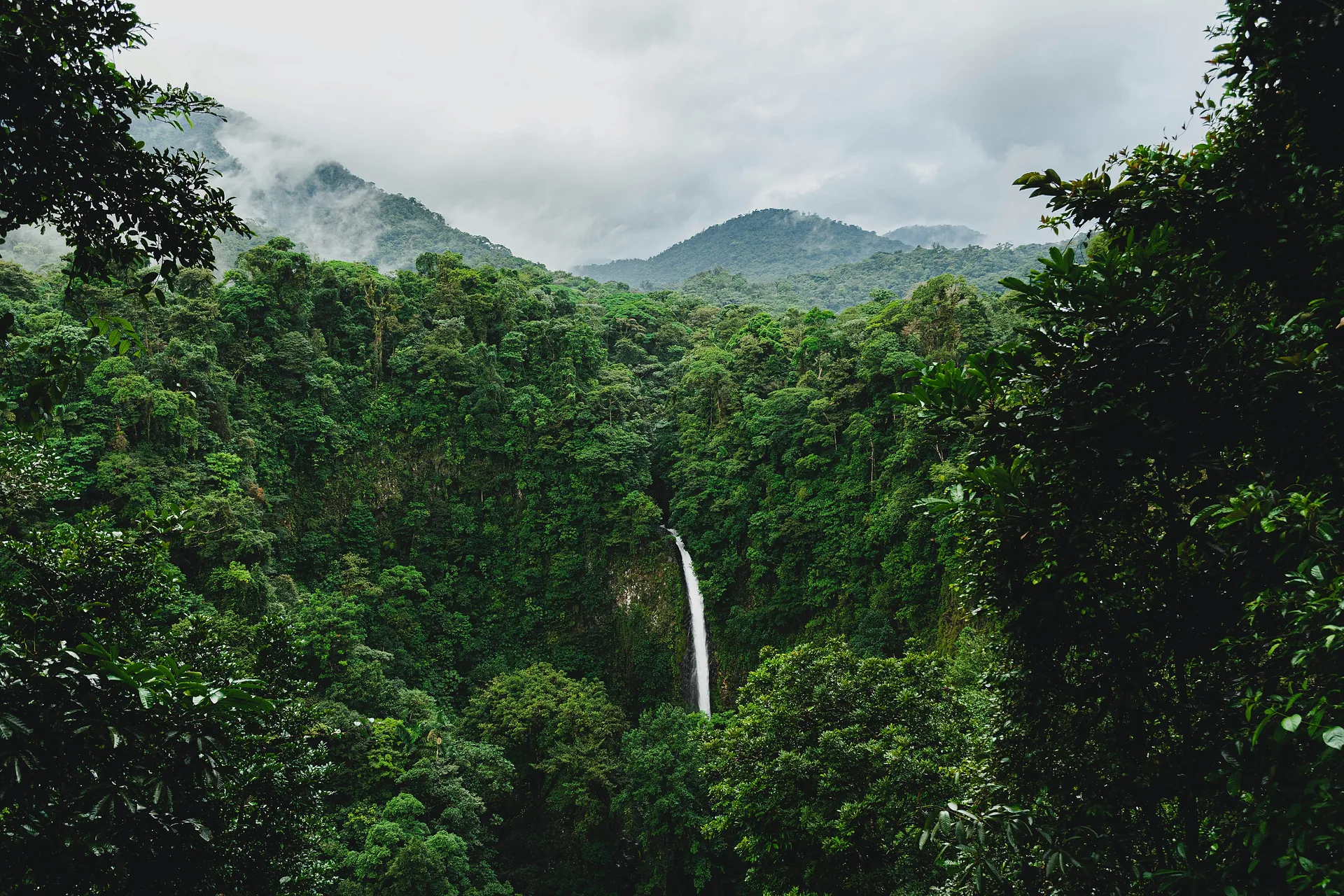 A tall waterfall falling through dense rainforest, with cloud over the mountains behind it.